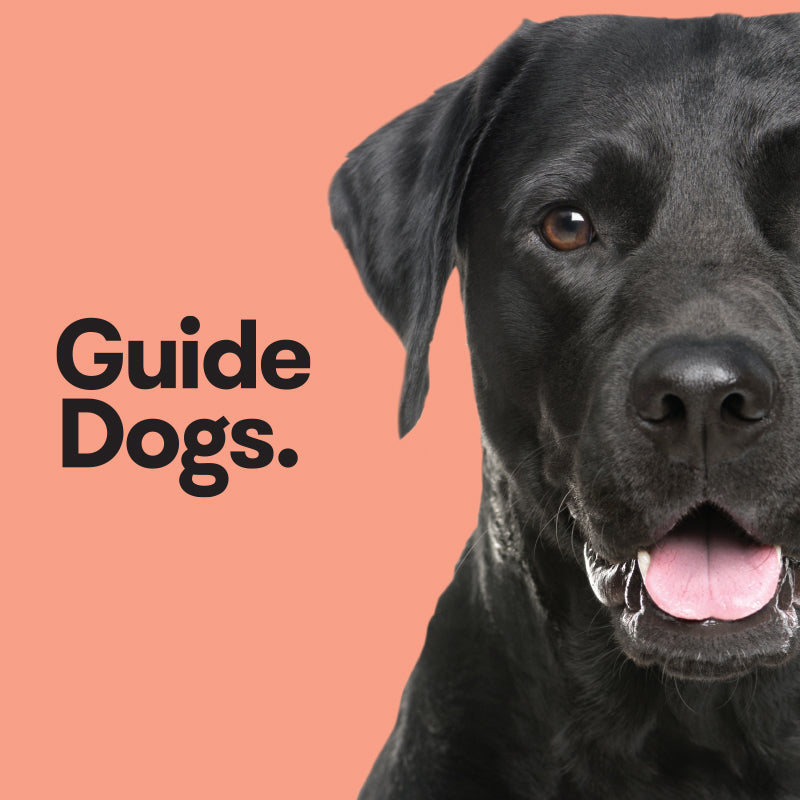 A black Labrador on an orange background. The Guide Dogs logo is on the left.